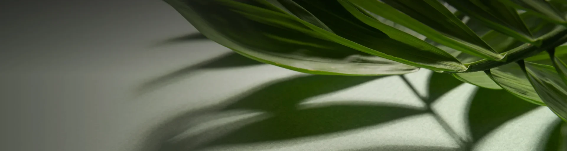 Commitment to Sustainability