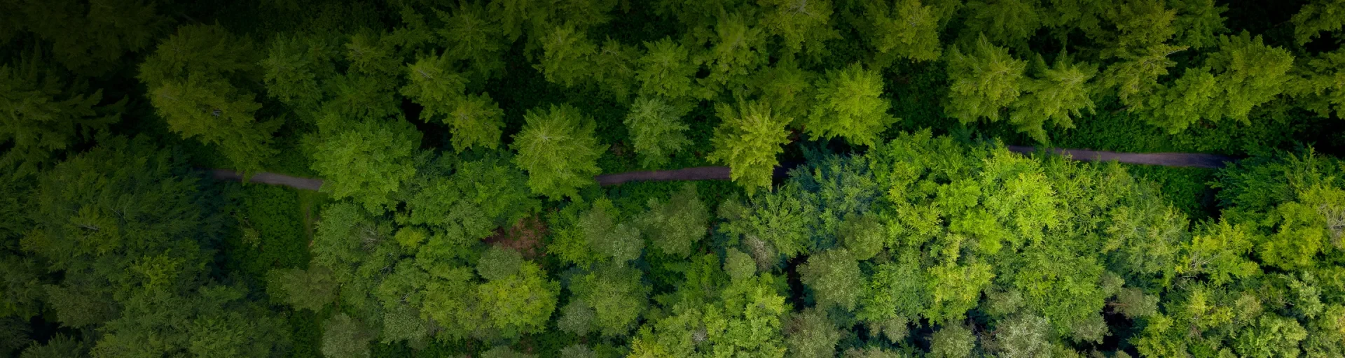 Materiality Assessment