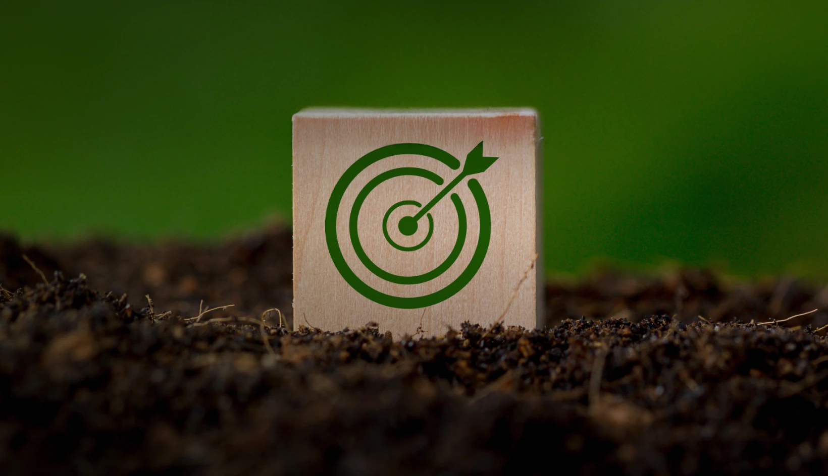 Supporting the UN Sustainable Development Goals (SDGs)