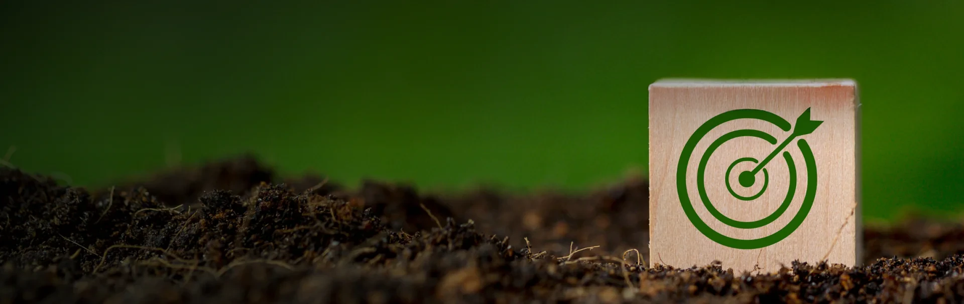 Supporting the UN Sustainable Development Goals (SDGs)