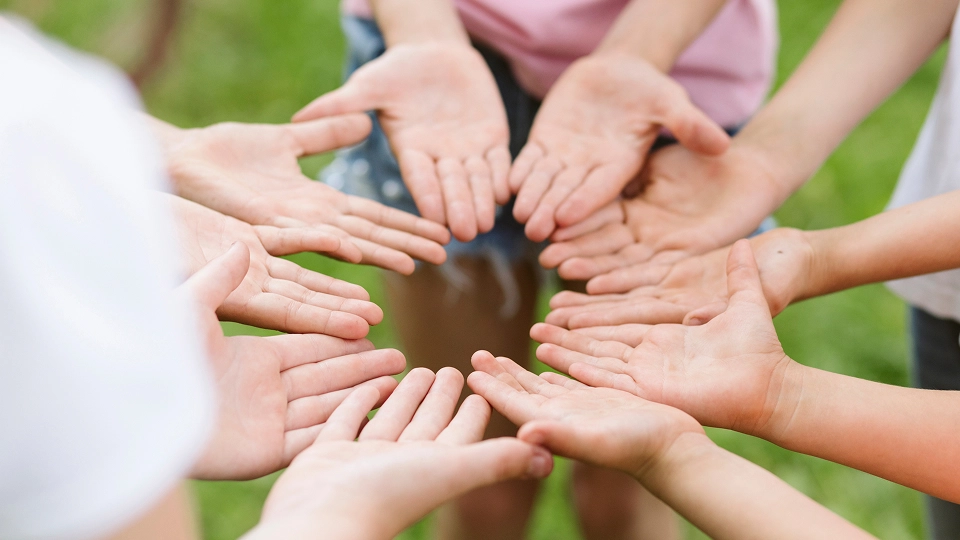 Sustainability in Action