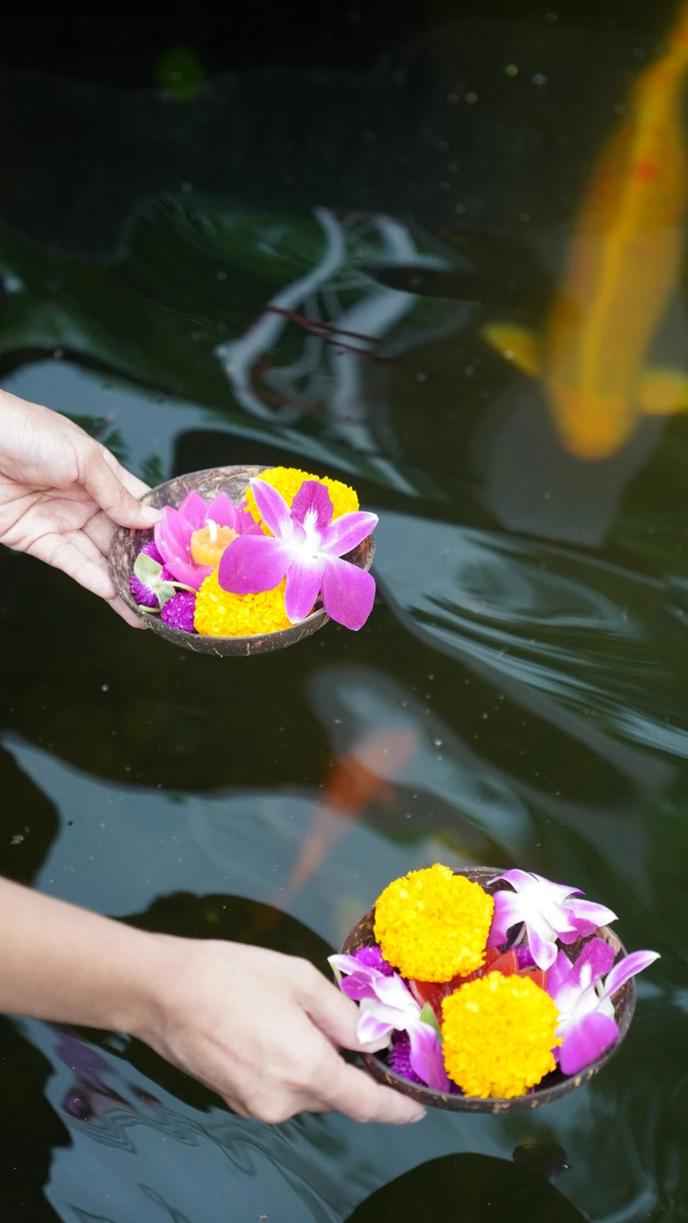 Eco-Friendly Loy Krathong