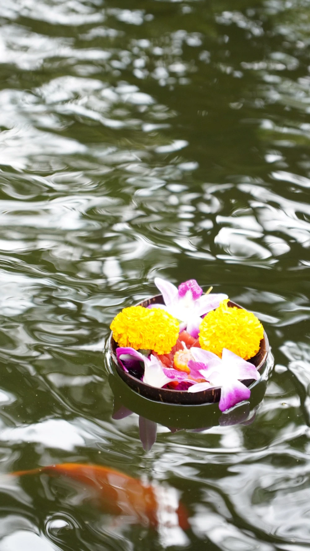 Eco-Friendly Loy Krathong