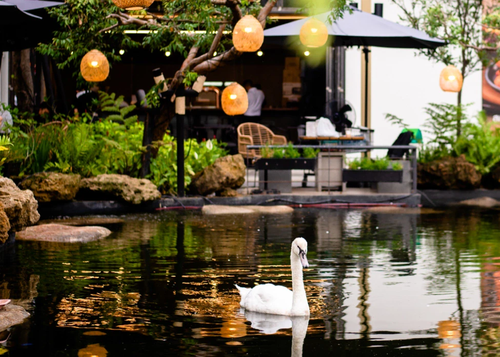 Creating a Green Oasis within Community Malls